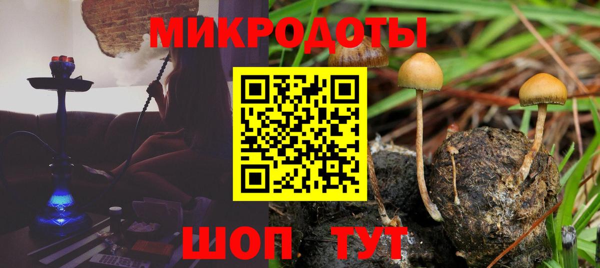 Псилоцибиновые грибы ЛСД  Псилоцибиновые грибы ЛСД  Армавир  Вход с VPN 