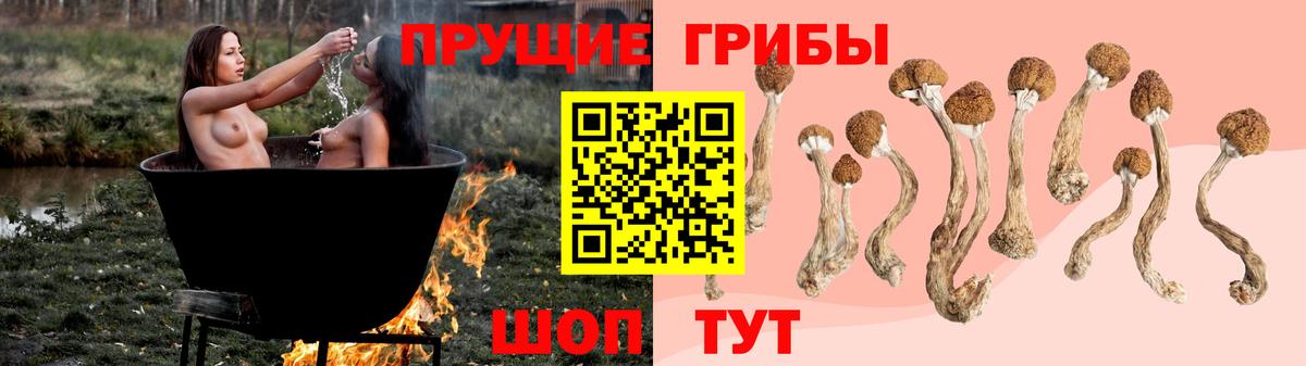 Галлюциногенные грибы ЛСД Армавир